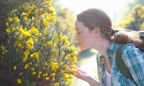 Woman smelling flowers in the countryside