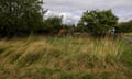 A rewilding project in Ilkeston by the Erewash council includes the overgrown Barling Drive play area.