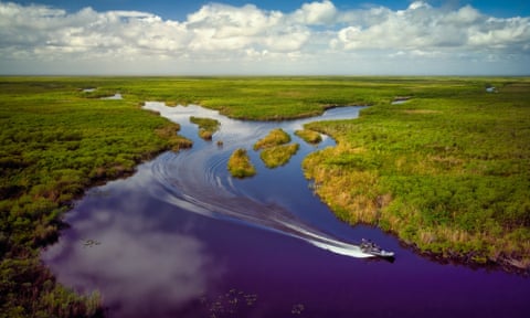 Aerial View of Florida Everglades