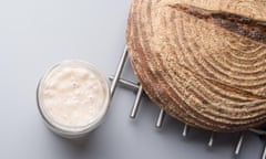 A sourdough starter and loaf