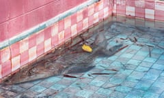 An alligator lurking in low water at the bottom of the pink-tiled swimming pool