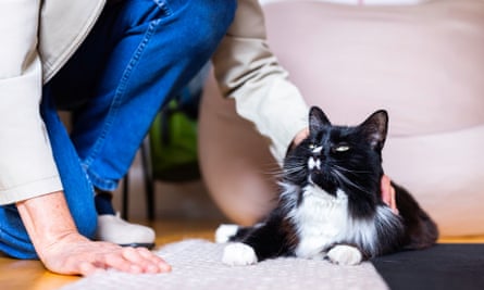 Person stroking Marley, a black and white cat