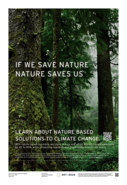 A photo of a forest with the white text 'If we save nature nature saves us / learn about nature based solutions to climate change'