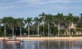 Boat in water in front of palm trees