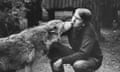 Discovering Animals<br>Portrait of naturalist and broadcaster Tony Soper with a wolf, photographed for Radio Times in connection with the television series 'Discovering Animals', May 16th 1985. First printed in Radio Times issue 3223, page 14, August 22nd 1985. (Photo by Don Smith/Radio Times/Getty Images)