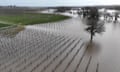 Multiple Storms Batter California With Flooding Rains<br>SANTA ROSA, CALIFORNIA - JANUARY 09: In an aerial view, water floods a vineyard on January 09, 2023 in Santa Rosa, California. The San Francisco Bay Area and much of Northern California continues to get drenched by powerful atmospheric river events that have brought high winds and flooding rains. The storms have toppled trees, flooded roads and cut power to tens of thousands. Storms are lined up over the Pacific Ocean and are expected to bring more rain and wind through the end of the week. (Photo by Justin Sullivan/Getty Images)