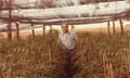 Mehran Mahdavi at the pistachio tree nursery at Robinvale, Victoria, in the 1980s.