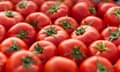 Tomatos background<br>full image with tomatoes fresh and healty food