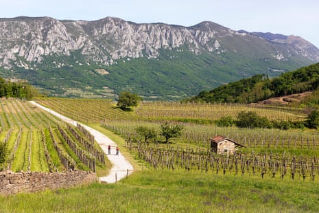 Mother and son, tourists, cyclists on a gravel road passing beautiful wineyard above vipava valley on a beautiful spring sunny day, Slovenia2FNJ0RP Mother and son, tourists, cyclists on a gravel road passing beautiful wineyard above vipava valley on a beautiful spring sunny day, Slovenia