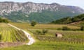 Mother and son, tourists, cyclists on a gravel road passing beautiful wineyard above vipava valley on a beautiful spring sunny day, Slovenia<br>2FNJ0RP Mother and son, tourists, cyclists on a gravel road passing beautiful wineyard above vipava valley on a beautiful spring sunny day, Slovenia