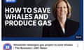 Screenshot of the original headline, ‘How to save whales and produce gas’ on ABC News platforms