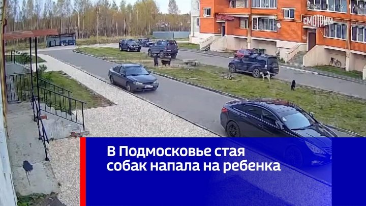 В Подмосковье стая собак напала на ребенка