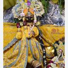 Radhe krishan