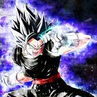 vegetto Black