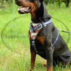 Doberman Online Store