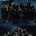 Hogwartes For Life