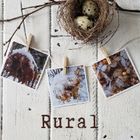 RURAL::  Because Your Heart Lives Here