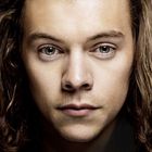 Harry Styles Fanpage