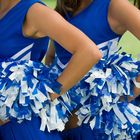 Cheerleader Handbook | Cheers & Chants