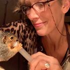 Squirrel Nurse