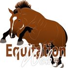 WebEquitation® Au Coeur des Chevaux