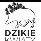 Dzikie Kwiaty