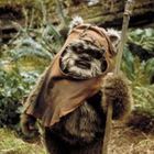 ewok