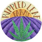 Rippled Leaf Farms | CBG Hemp