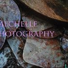 LaMechellePhotog