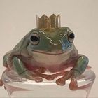 frog prince