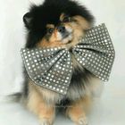 kim yeontan