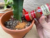 Gardening Hacks