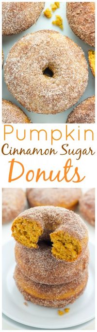 Pumpkin Cinnamon Sugar Donuts - super soft, fluffy, and loaded with pumpkin flavor! The best part? They're ready in 20 minutes!