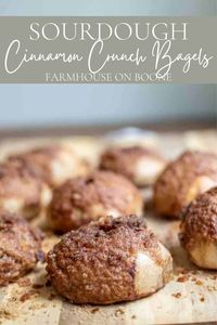 These sourdough cinnamon crunch bagels are a super delicious and possibly addicting breakfast or brunch. Chewy bagels topped with a cinnamon, brown sugar, and butter topping that is baked until caramelized and crunchy. 