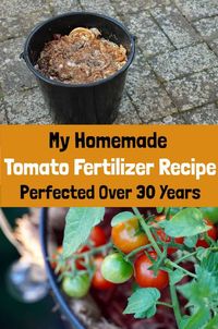 I've been growing tomatoes for 30+ years now. This is my go-to homemade tomato fertilizer for fast growth and tasty, abundant fruits!