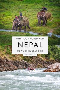 In this Nepal travel guide, you will find the best reasons to visit Nepal. Nepal is a stunning combination of jungles, rice fields, temples and deserts, rich culture, Kathmandu the capital, and the highest mountain ranges in the entire world and mount Everest. There are many reasons to visit Nepal, So be sure to add Nepal to your bucket list! Visit Nepal | Nepal Travel | Beautiful Himalayas | Nepal landscape | Trip to Nepal | Kathmandu Nepal | Nepal beautiful places | Nepal Bucket List