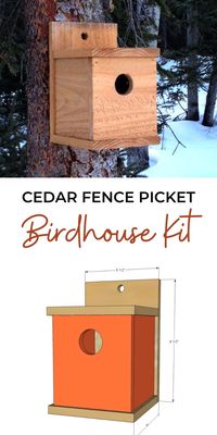 Modern Cedar Fence Picket Birdhouse Kit | Ana White