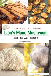 lion mane recipe round up