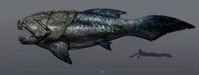 Dunkleosteus Terreli.