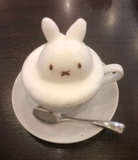 miffy foamified