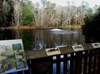 Kid-friendly Savannah, Travel Guide on TripAdvisor