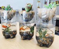 Classroom Gardening Ideas, Lessons, Tips, and Tricks - WeAreTeachers