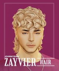 JohnnySims : Zayvier Hair