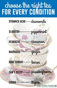 How to Choose the Right Tea for Every Condition http://onegr.pl/1nzTH04 #vegan #homeopathic #remedy