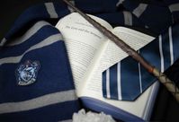 ravenclaw aesthetic - harry potter