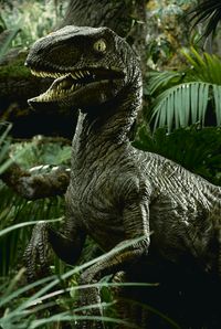 Velociraptor JP 93