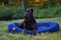 Personalized Pet Bed for Cane Corso extra large dog breed / Modern custom luxury dog house, Washable removable cover, cozy dog bed xs- xxl