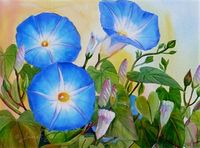 Janet Zeh | WATERCOLOR | Morning Glory