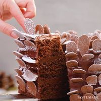 Cold weather and holiday vibes call for this creative chocolate Christmas cake à la pinecone design.