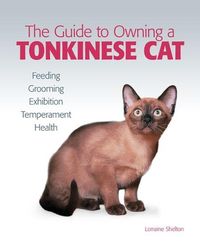 Guide To Owning A Tonkinese Cat